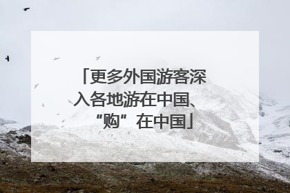 更多外国游客深入各地游在中国、“购”在中国