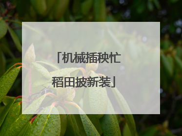 机械插秧忙 稻田披新装