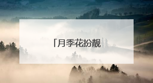 月季花扮靓北京道路