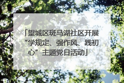 望城区斑马湖社区开展“学规定、强作风、践初心”主题党日活动