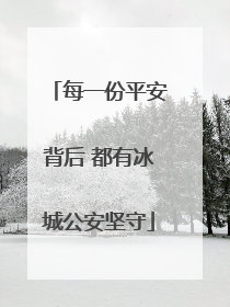 每一份平安背后 都有冰城公安坚守