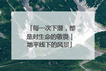 每一次下潜，都是对生命的敬畏｜地平线下的风景