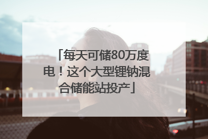 每天可储80万度电！这个大型锂钠混合储能站投产