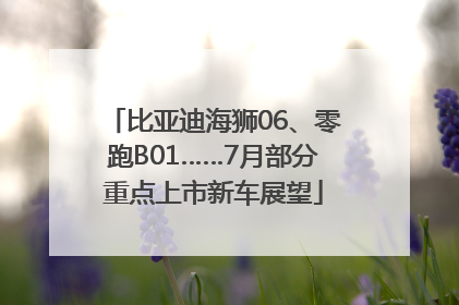 比亚迪海狮06、零跑B01……7月部分重点上市新车展望