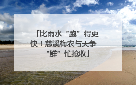 比雨水“跑”得更快！慈溪梅农与天争“鲜”忙抢收