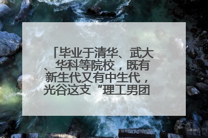 毕业于清华、武大、华科等院校，既有新生代又有中生代，光谷这支“理工男团”为何“出道”？