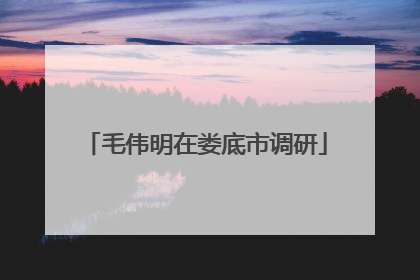 毛伟明在娄底市调研