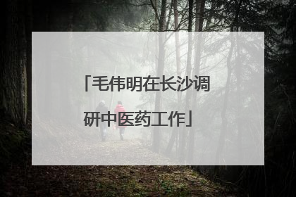 毛伟明在长沙调研中医药工作