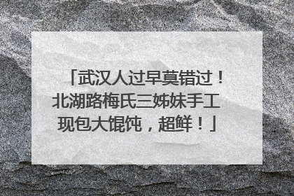 武汉人过早莫错过！北湖路梅氏三姊妹手工现包大馄饨，超鲜！