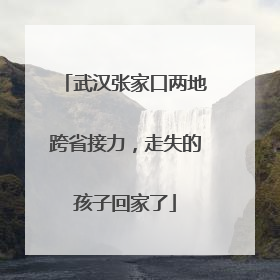 武汉张家口两地跨省接力，走失的孩子回家了