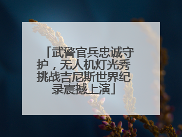 武警官兵忠诚守护，无人机灯光秀挑战吉尼斯世界纪录震撼上演