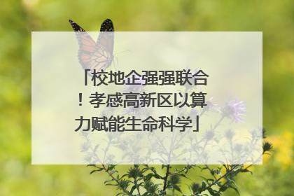校地企强强联合！孝感高新区以算力赋能生命科学
