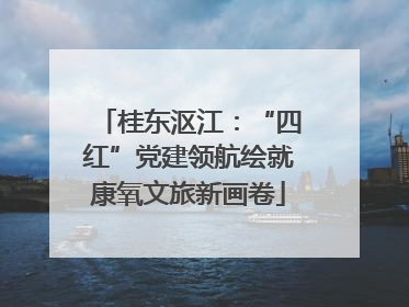 桂东沤江：“四红”党建领航绘就康氧文旅新画卷