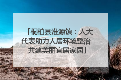 桐柏县淮源镇：人大代表助力人居环境整治 共建美丽宜居家园