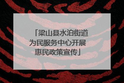 梁山县水泊街道为民服务中心开展惠民政策宣传