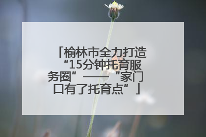 榆林市全力打造“15分钟托育服务圈”——“家门口有了托育点”