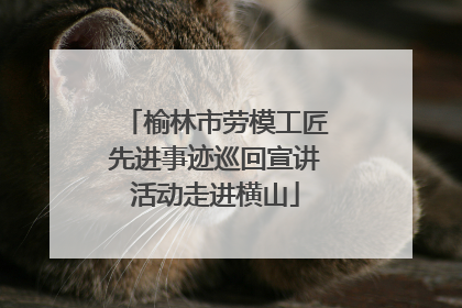 榆林市劳模工匠先进事迹巡回宣讲活动走进横山