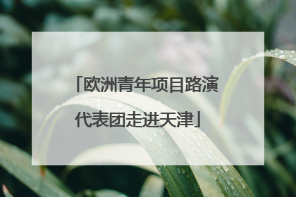 欧洲青年项目路演代表团走进天津