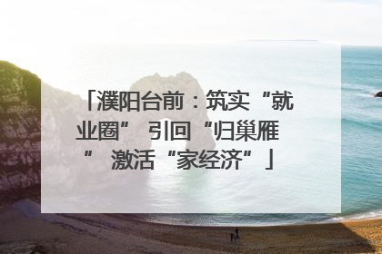 濮阳台前:筑实“就业圈” 引回“归巢雁” 激活“家经济”
