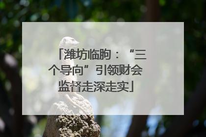 潍坊临朐：“三个导向”引领财会监督走深走实