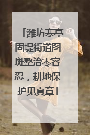 潍坊寒亭固堤街道图斑整治零容忍，耕地保护见真章