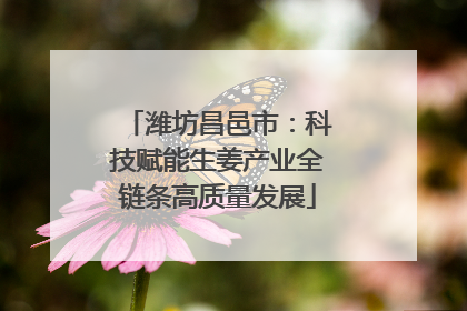 潍坊昌邑市：科技赋能生姜产业全链条高质量发展