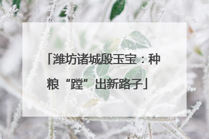 潍坊诸城殷玉宝：种粮“蹚”出新路子