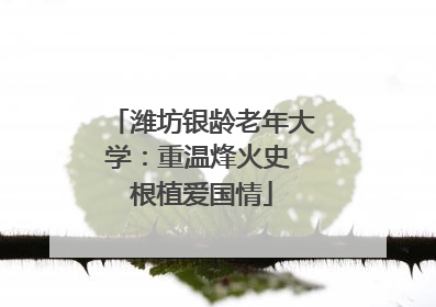 潍坊银龄老年大学：重温烽火史 根植爱国情