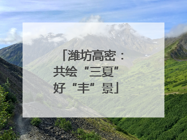 潍坊高密：共绘“三夏”好“丰”景