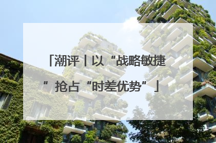潮评丨以“战略敏捷”抢占“时差优势”