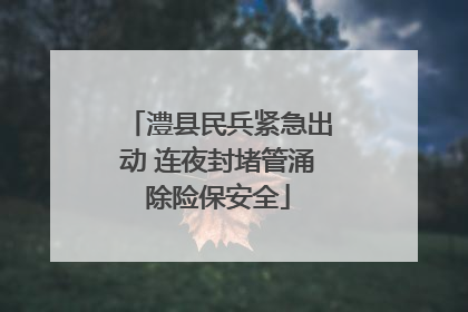 澧县民兵紧急出动 连夜封堵管涌除险保安全