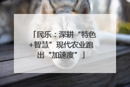 民乐：深耕“特色+智慧”现代农业跑出“加速度”