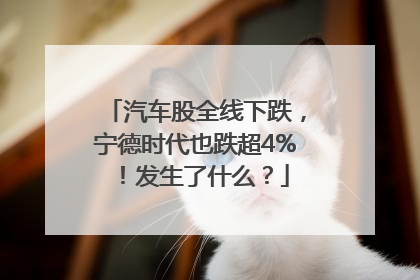 汽车股全线下跌，宁德时代也跌超4%！发生了什么？