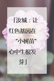 汝城：让红色基因在“小树苗”心中生根发芽