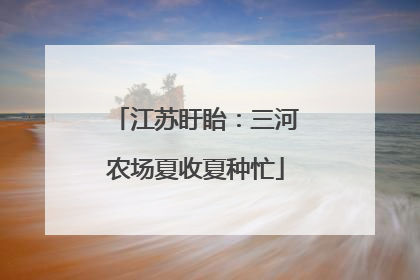 江苏盱眙：三河农场夏收夏种忙