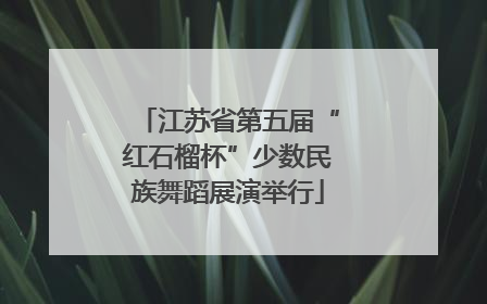 江苏省第五届“红石榴杯”少数民族舞蹈展演举行