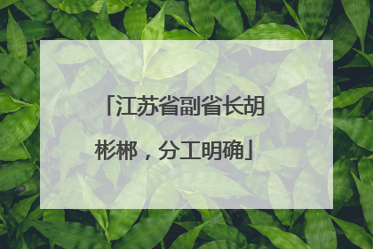 江苏省副省长胡彬郴，分工明确