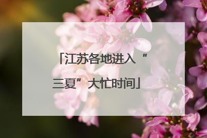 江苏各地进入“三夏”大忙时间