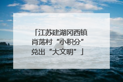 江苏建湖冈西镇肖荡村“小积分”兑出“大文明”