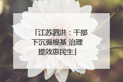 江苏泗洪：干部下沉强根基 治理提效惠民生