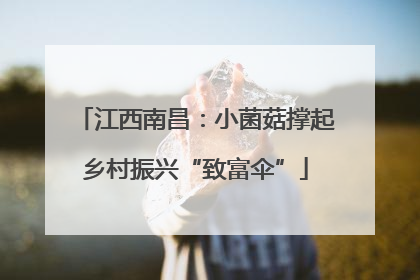 江西南昌：小菌菇撑起乡村振兴“致富伞”