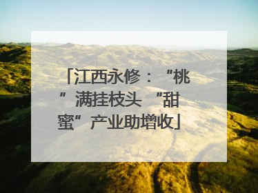 江西永修：“桃”满挂枝头 “甜蜜”产业助增收