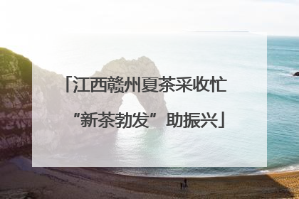 江西赣州夏茶采收忙 “新茶勃发”助振兴