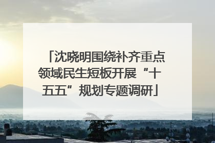 沈晓明围绕补齐重点领域民生短板开展“十五五”规划专题调研