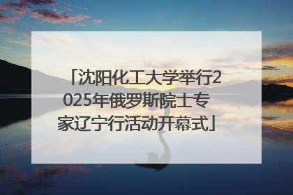 沈阳化工大学举行2025年俄罗斯院士专家辽宁行活动开幕式