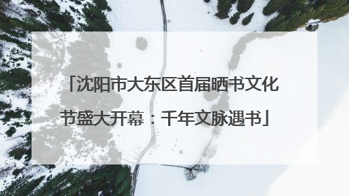 沈阳市大东区首届晒书文化节盛大开幕：千年文脉遇书