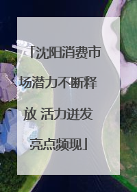 沈阳消费市场潜力不断释放 活力迸发亮点频现