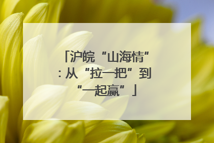 沪皖“山海情”：从“拉一把”到“一起赢”