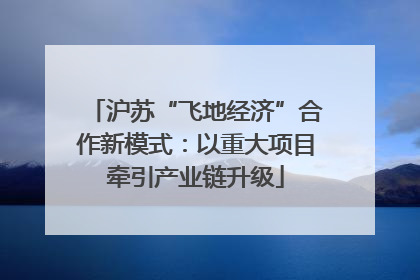 沪苏“飞地经济”合作新模式：以重大项目牵引产业链升级