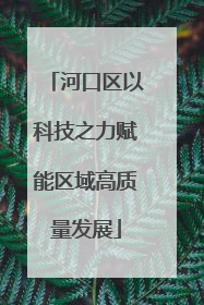 河口区以科技之力赋能区域高质量发展